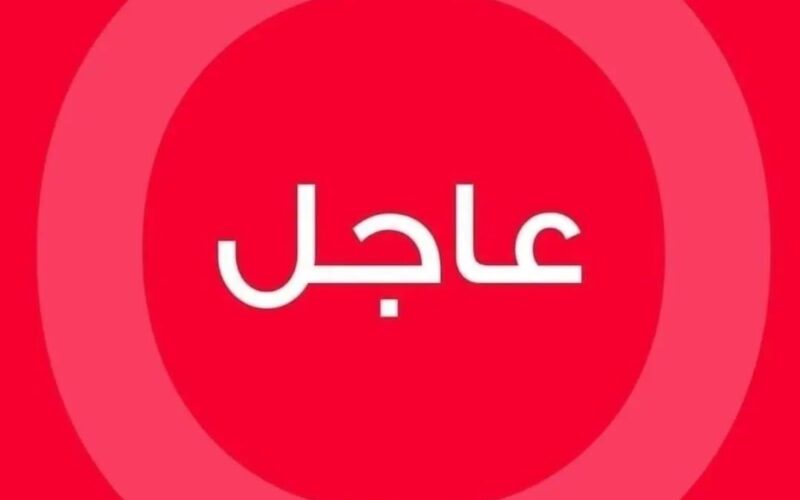 القاضي البيطار يقبل الشكوى المباشرة لزياد ريشا الذي فقد والدته في انفجار المرفأ
